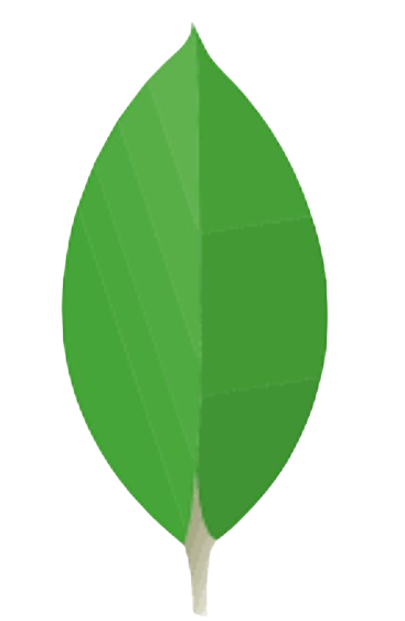 mongodb